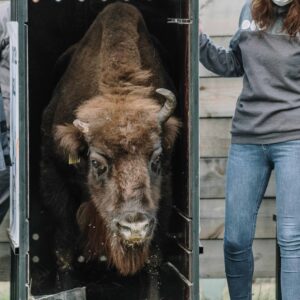 Challenges and way forward in the urban sector