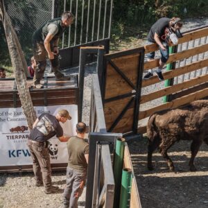 7 Ways To Reduce Ocean Plastic Pollution Today